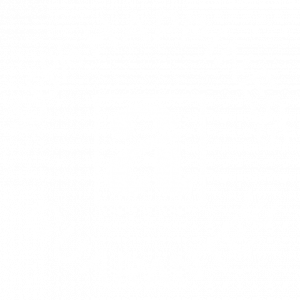 Happiness Guarantee White Logo